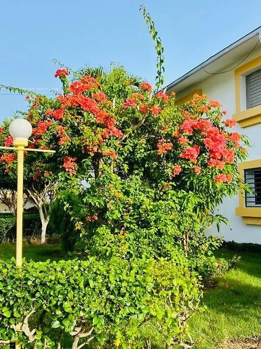 Studio A Proximite De L'Aeroport Las Americas Boca Chica 0*,  Dominicaanse Republiek